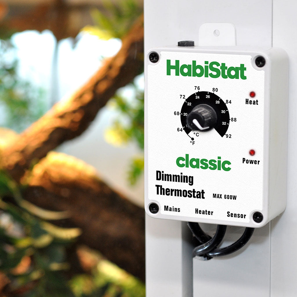 Do I really need a thermostat? Which Thermostat should I buy?