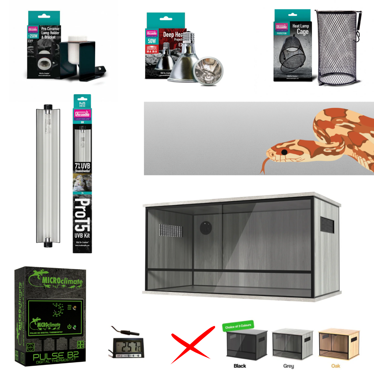 Corn Snake Starter Kit (Silver) 90x45x45cm