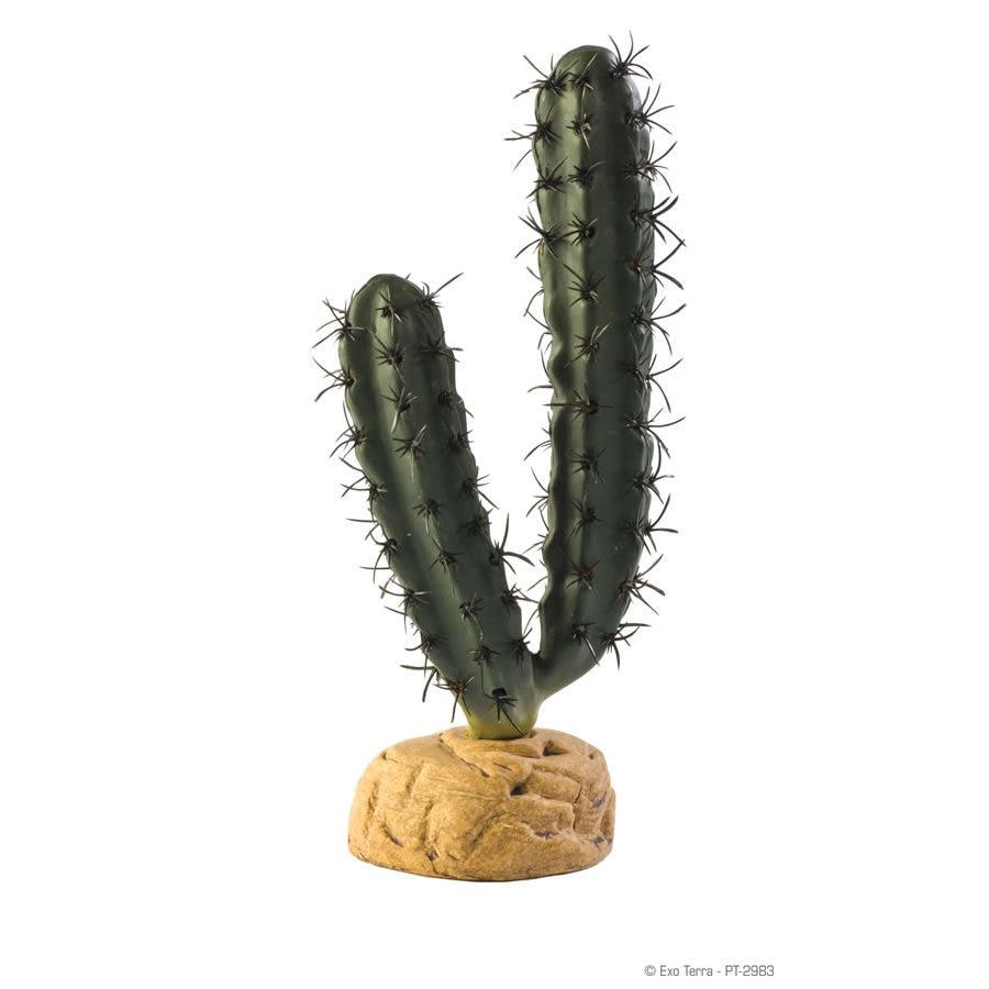 ET Finger Cactus