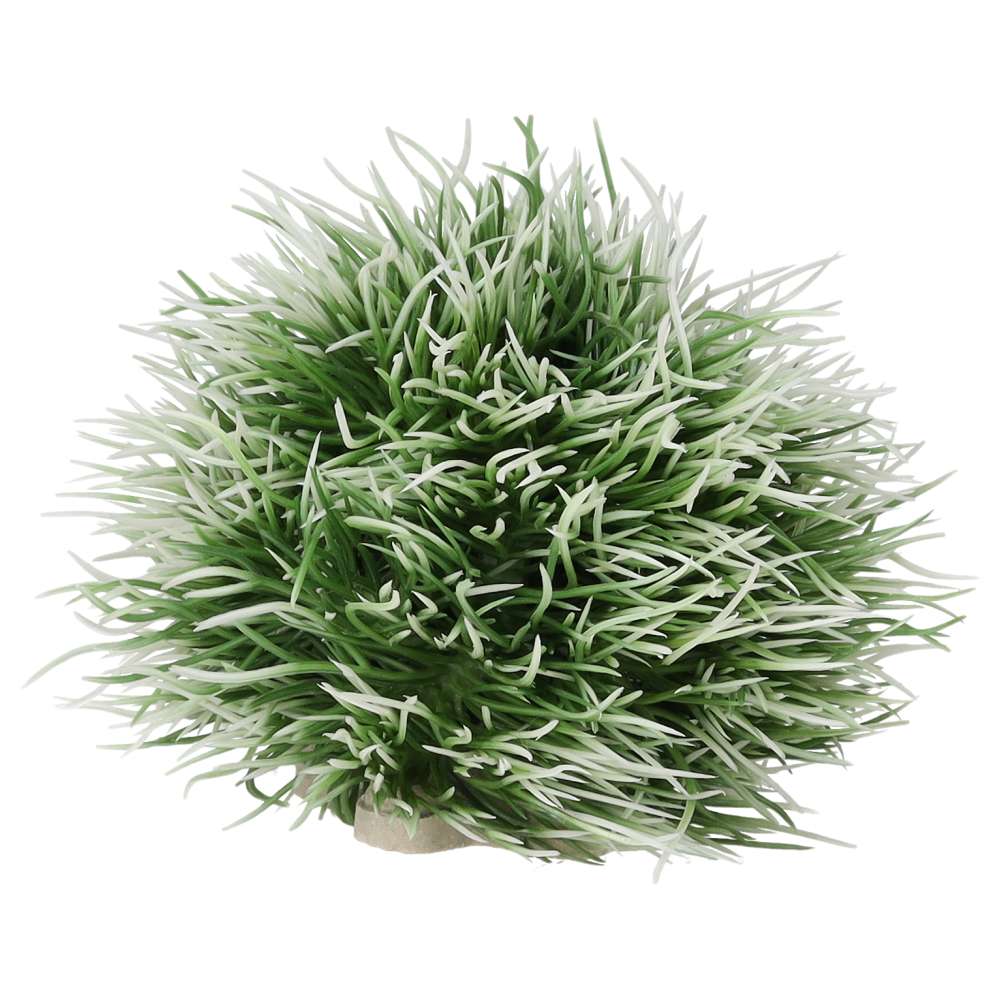 Aquaspectre Moss Ball