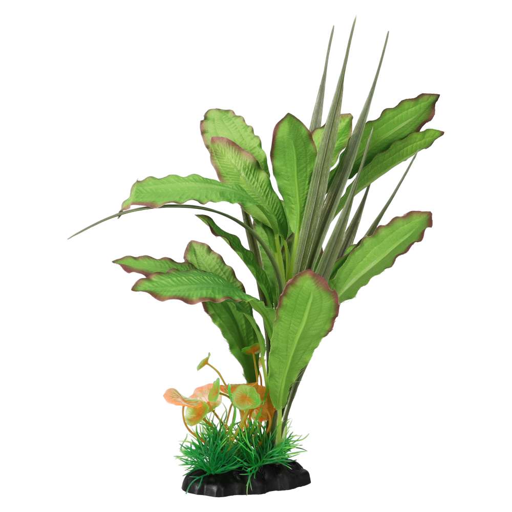 Aquaspectre Narrow Leaf Green