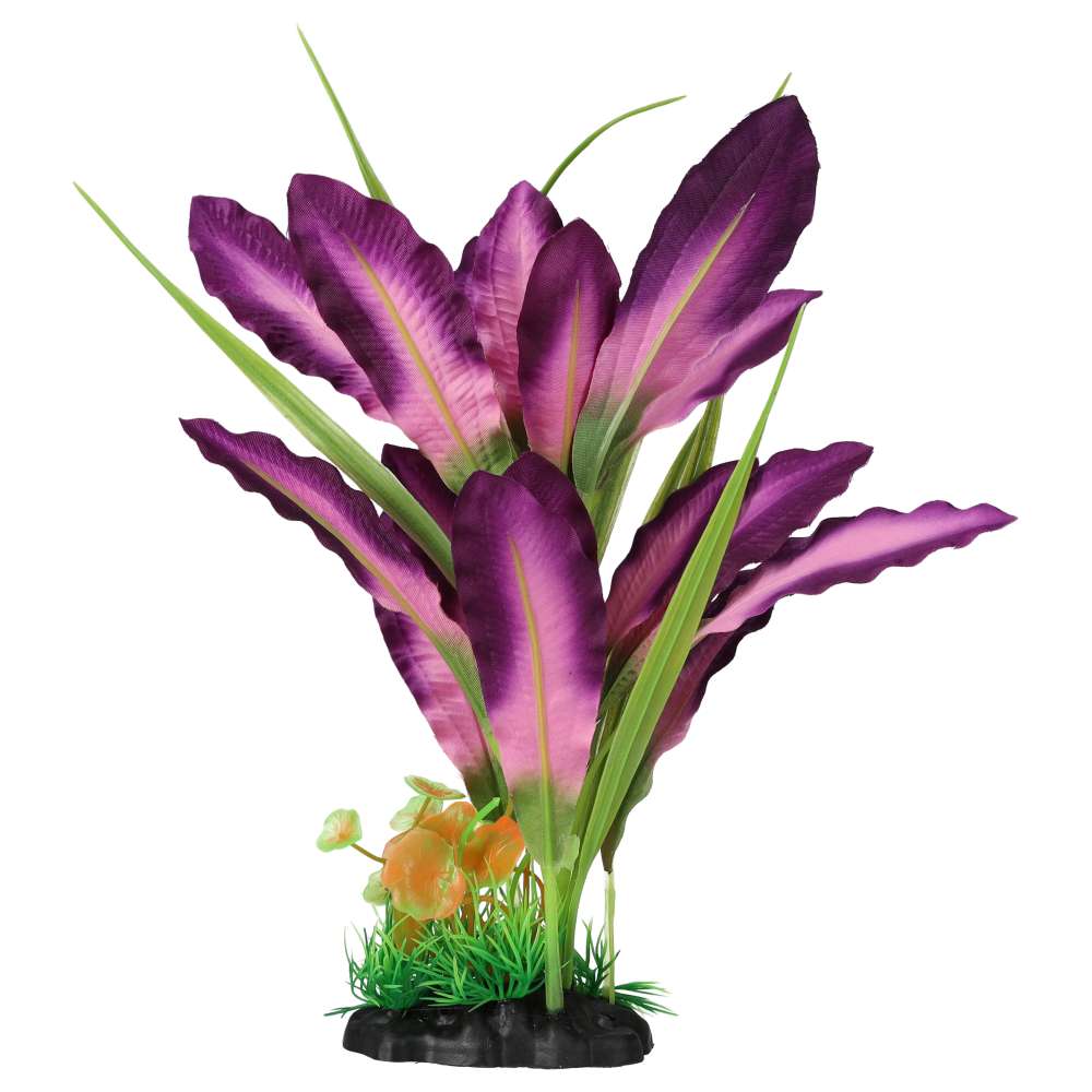 Aquaspectre Sword Leaf Purple