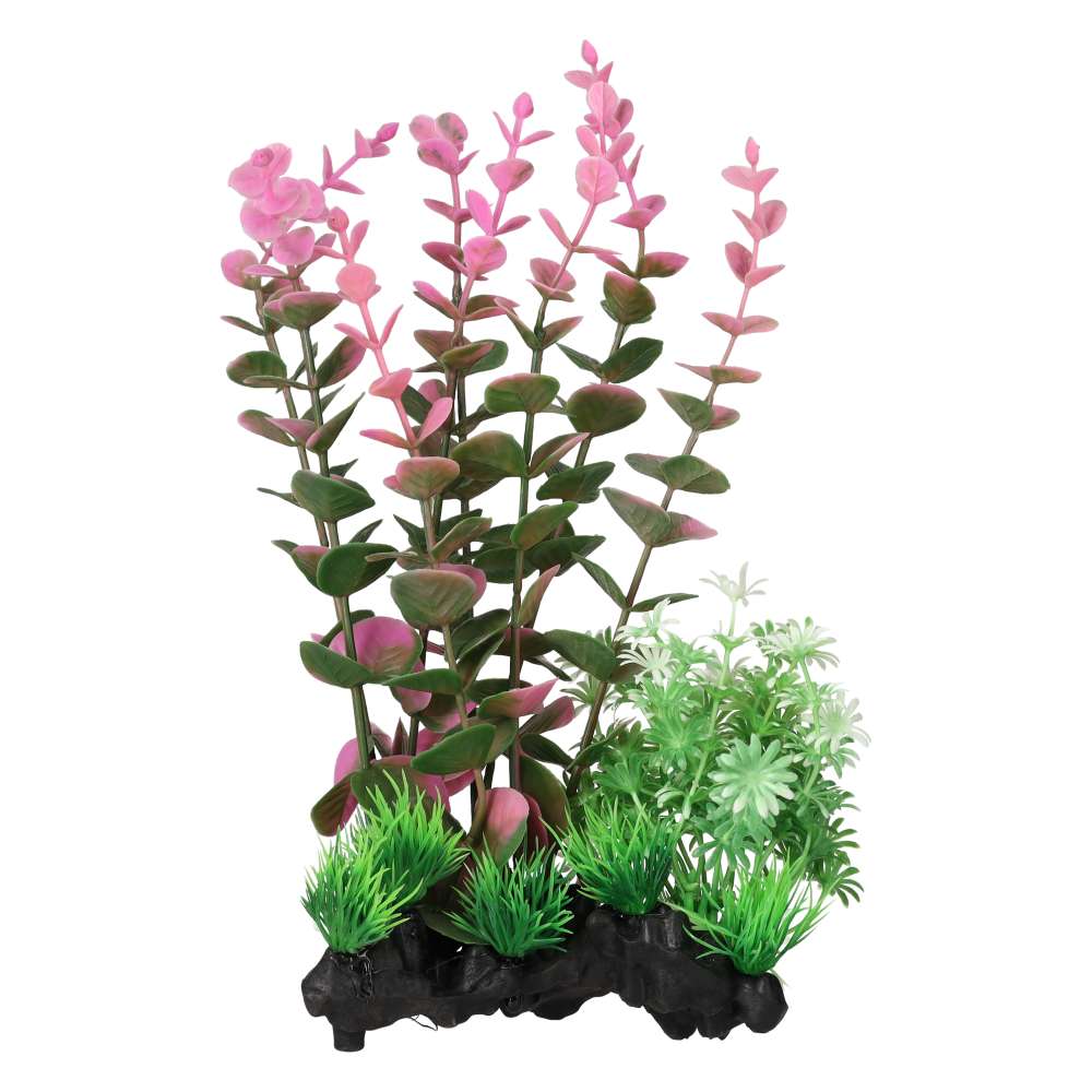 Aquaspectre Indian Toothcup Pink