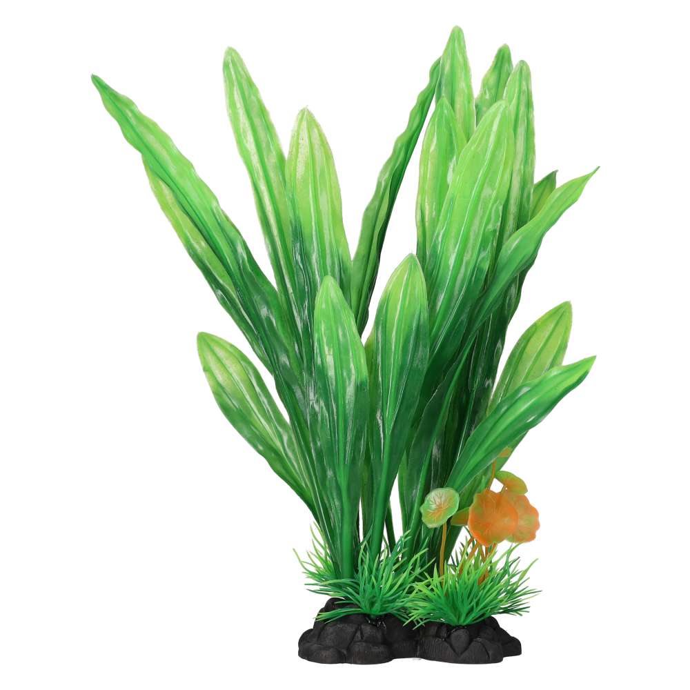 Aquaspectre Amazon Sword Leaf Green