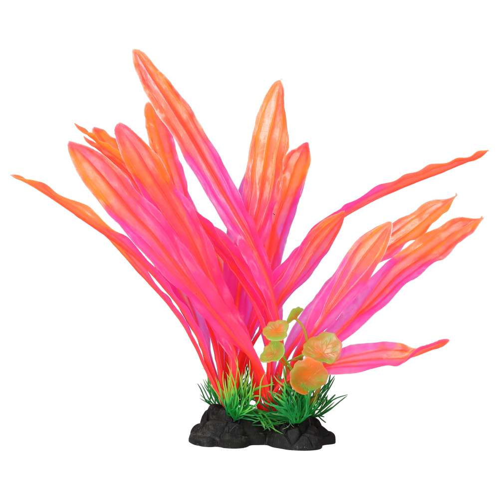 Aquaspectre Amazon Sword Leaf Pink