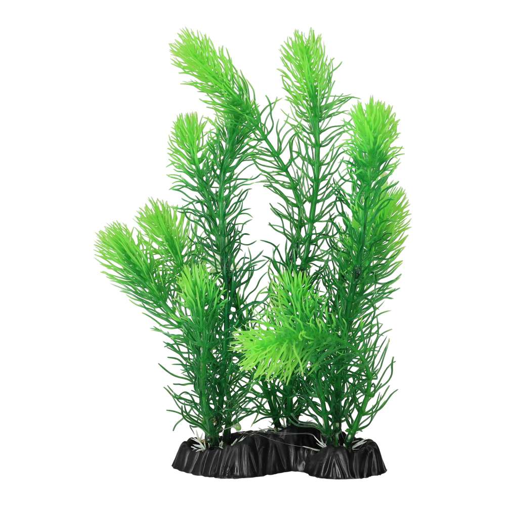 Aquaspectre Myrio Green