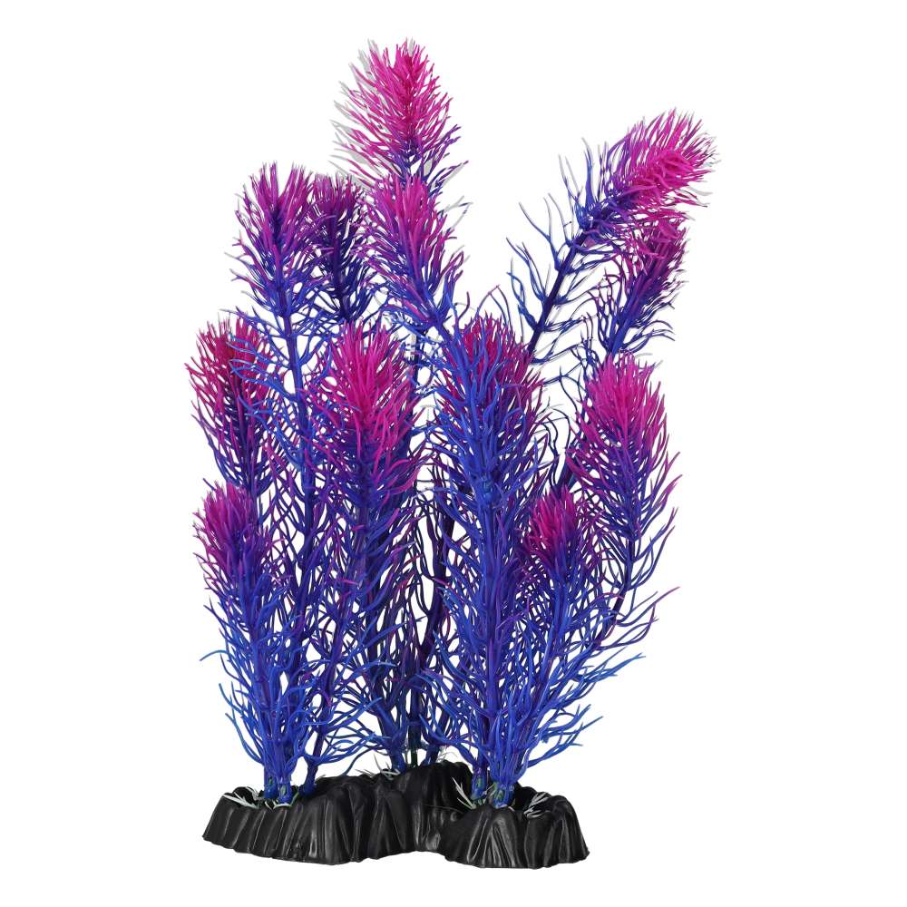 Aquaspectre Myrio Purple