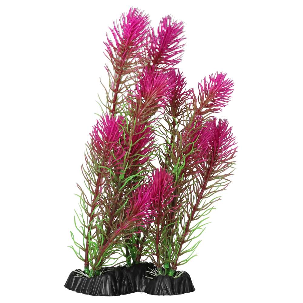Aquaspectre Myrio Pink