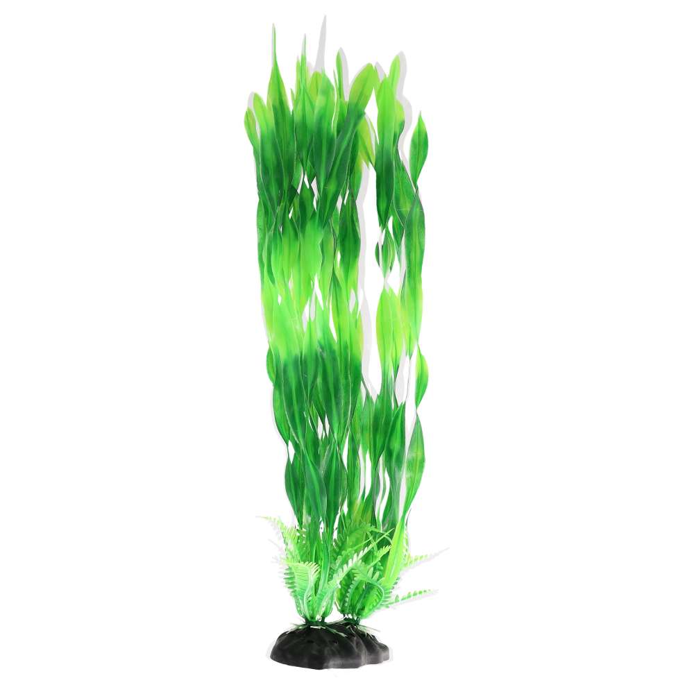 Aquaspectre Twisted Vallis Green