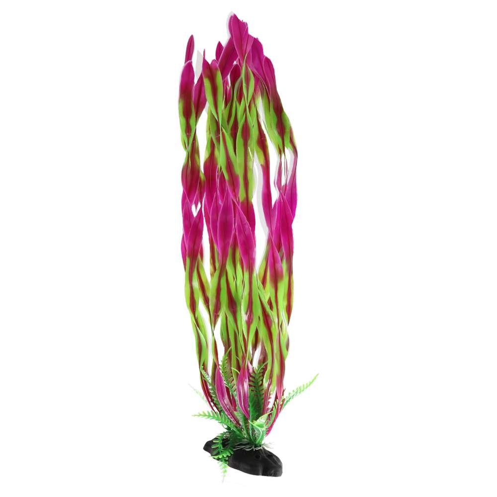 Aquaspectre Twisted Vallis Pink