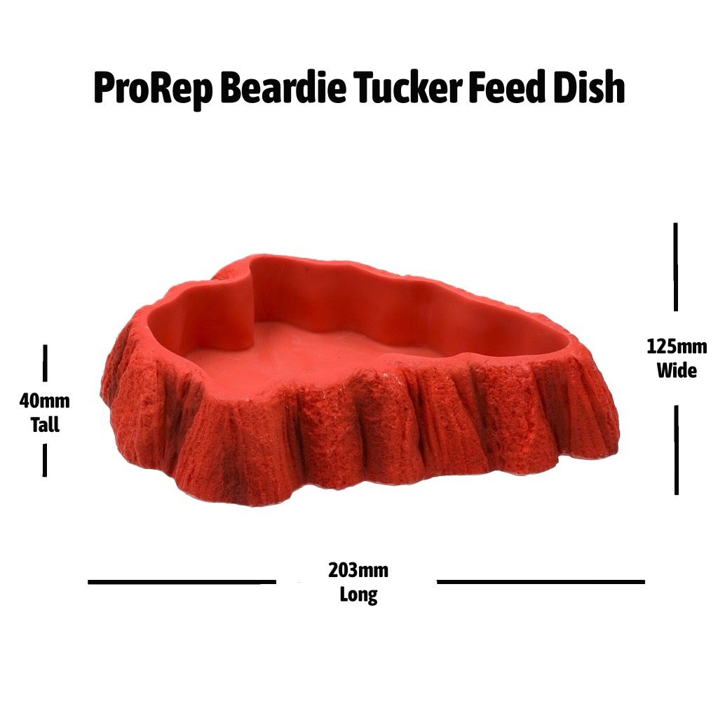 ProRep Beardie Tucker Feed Dish 203x125x40mm