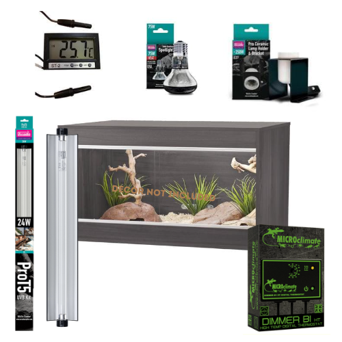 Bearded Dragon Juvenile Starter Kit (Bronze)