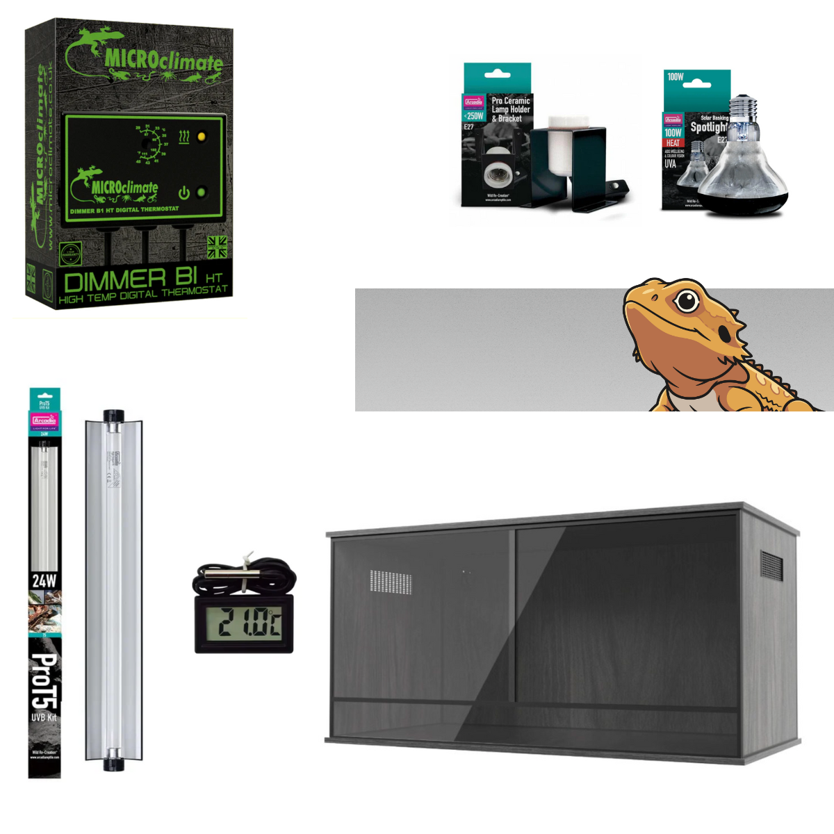 Bearded Dragon Starter Kit (Silver)