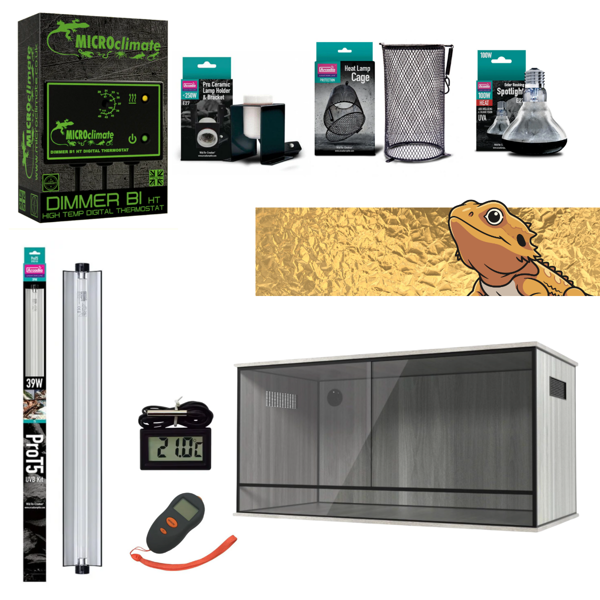 Bearded Dragon Starter Kit (Gold)