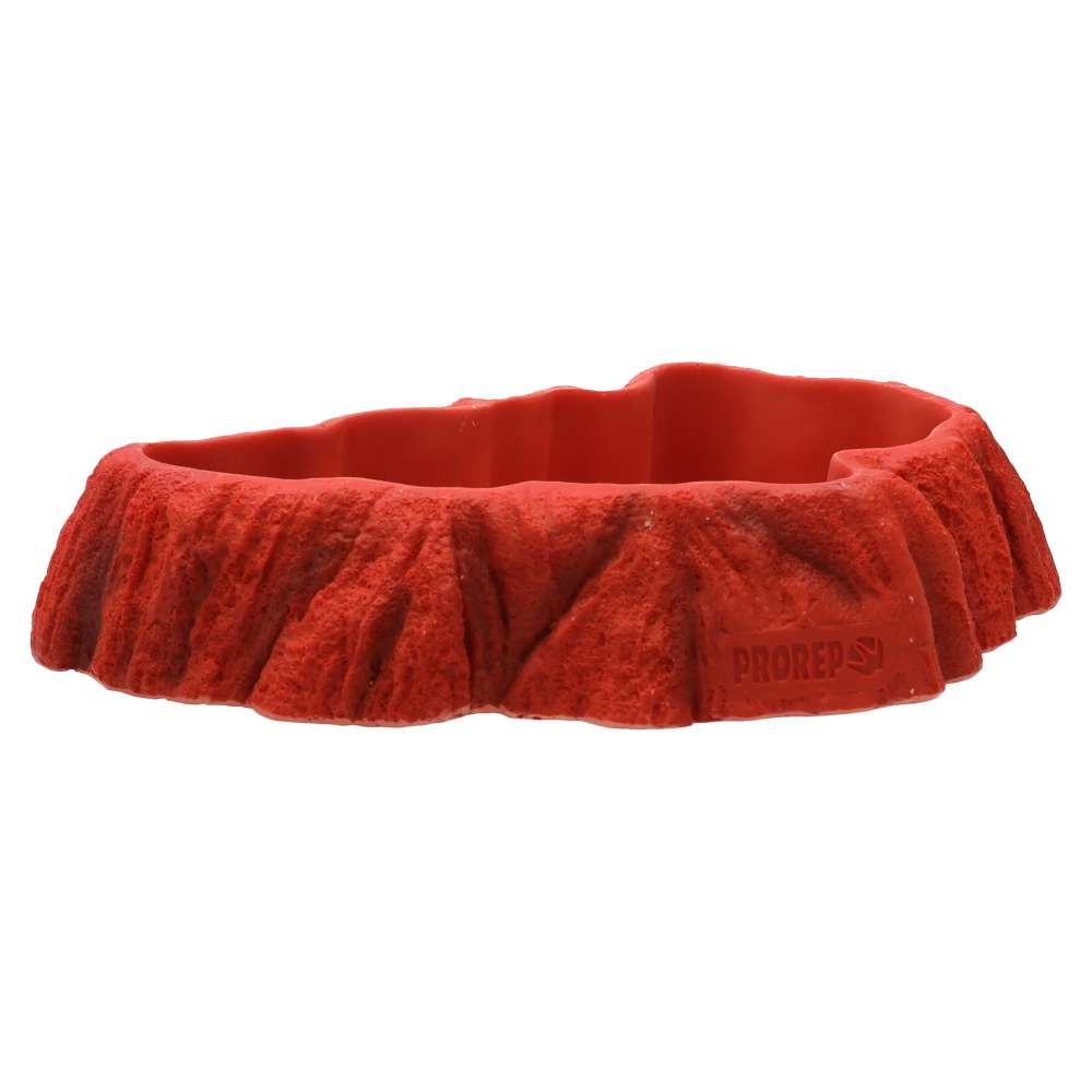ProRep Beardie Tucker Feed Dish 203x125x40mm