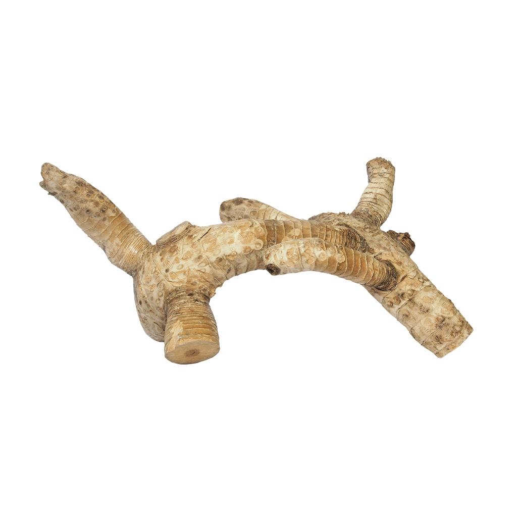 HabiStat Bamboo Root