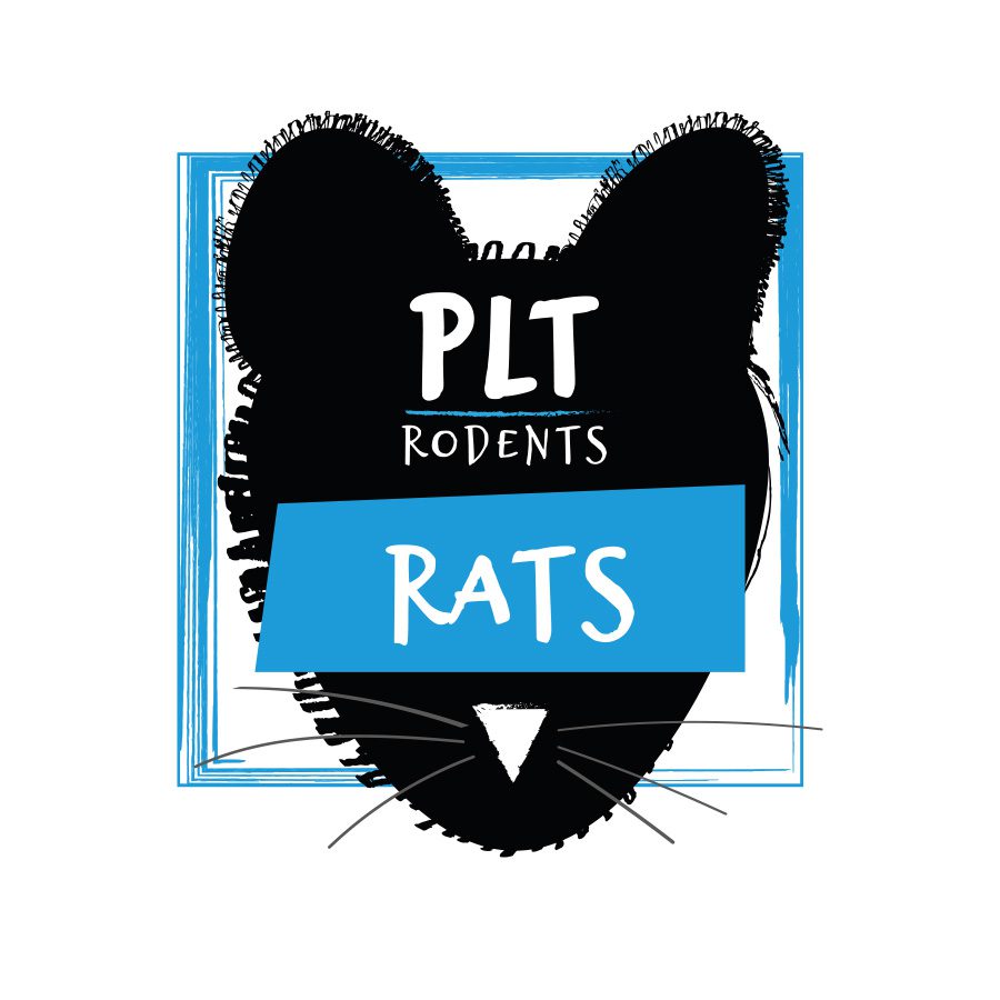 Frozen Rats (Pack Sizes - Delivery Available)