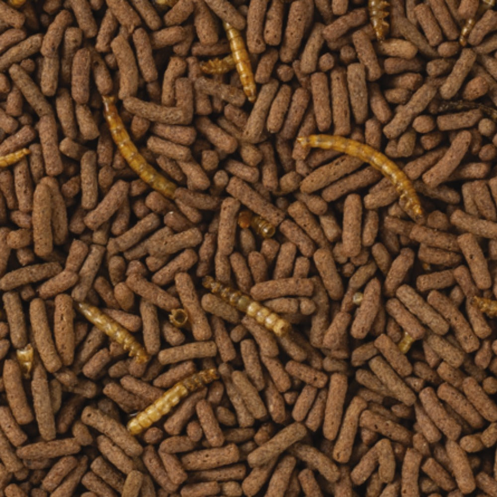 TropiFit Premium Dwarf Hedgehog