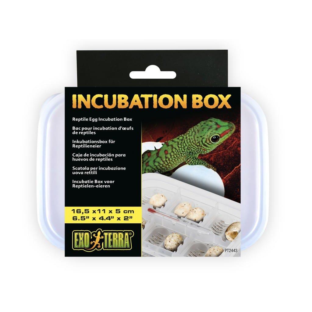 Exo Terra Incubation Box 16.5 x 11 x 5cm