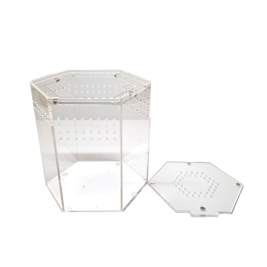 HerpXotics Acrylic Enclosure (1) Hexagon