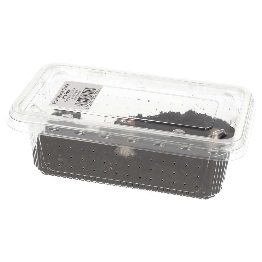 Fruit-beetle Grubs - Pachnoda - Pack of 10