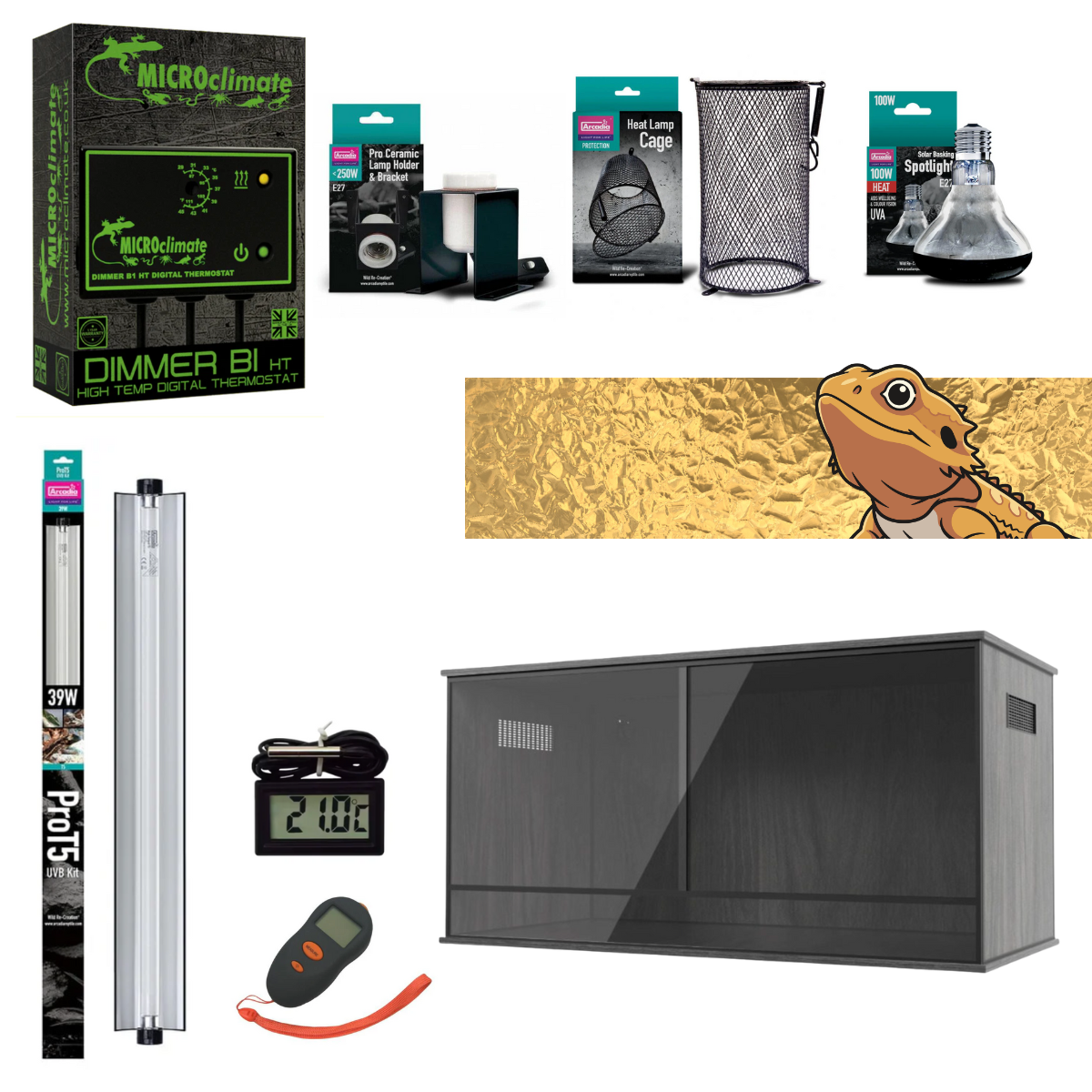 Bearded Dragon Starter Kit (Gold)