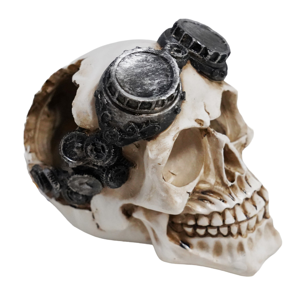 Betta Steampunk-Style Skull
