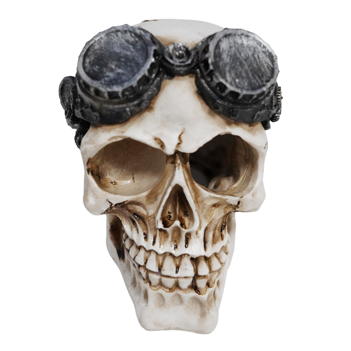 Betta Steampunk-Style Skull