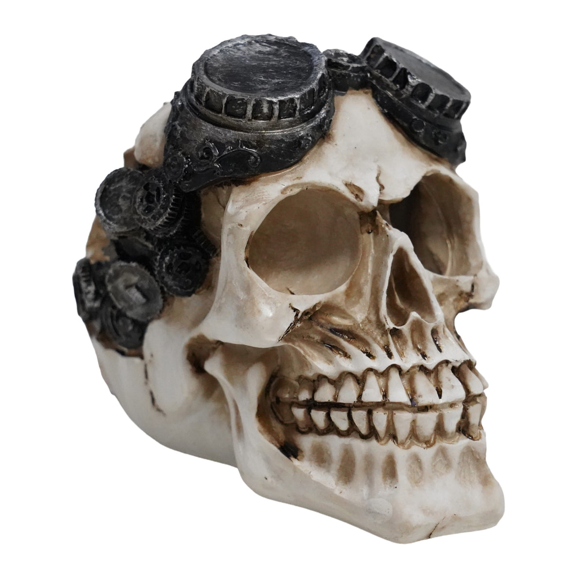 Betta Steampunk-Style Skull