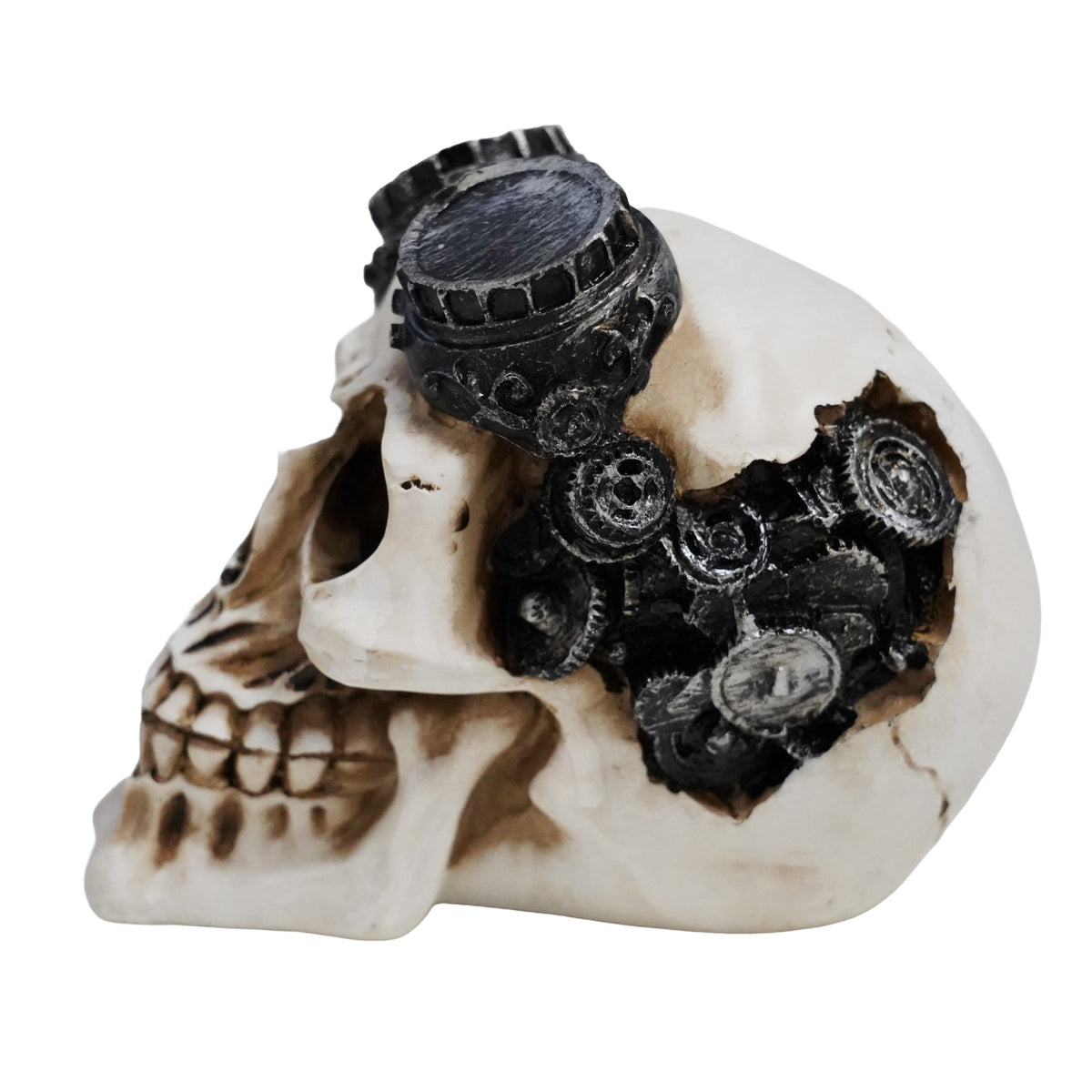 Betta Steampunk-Style Skull