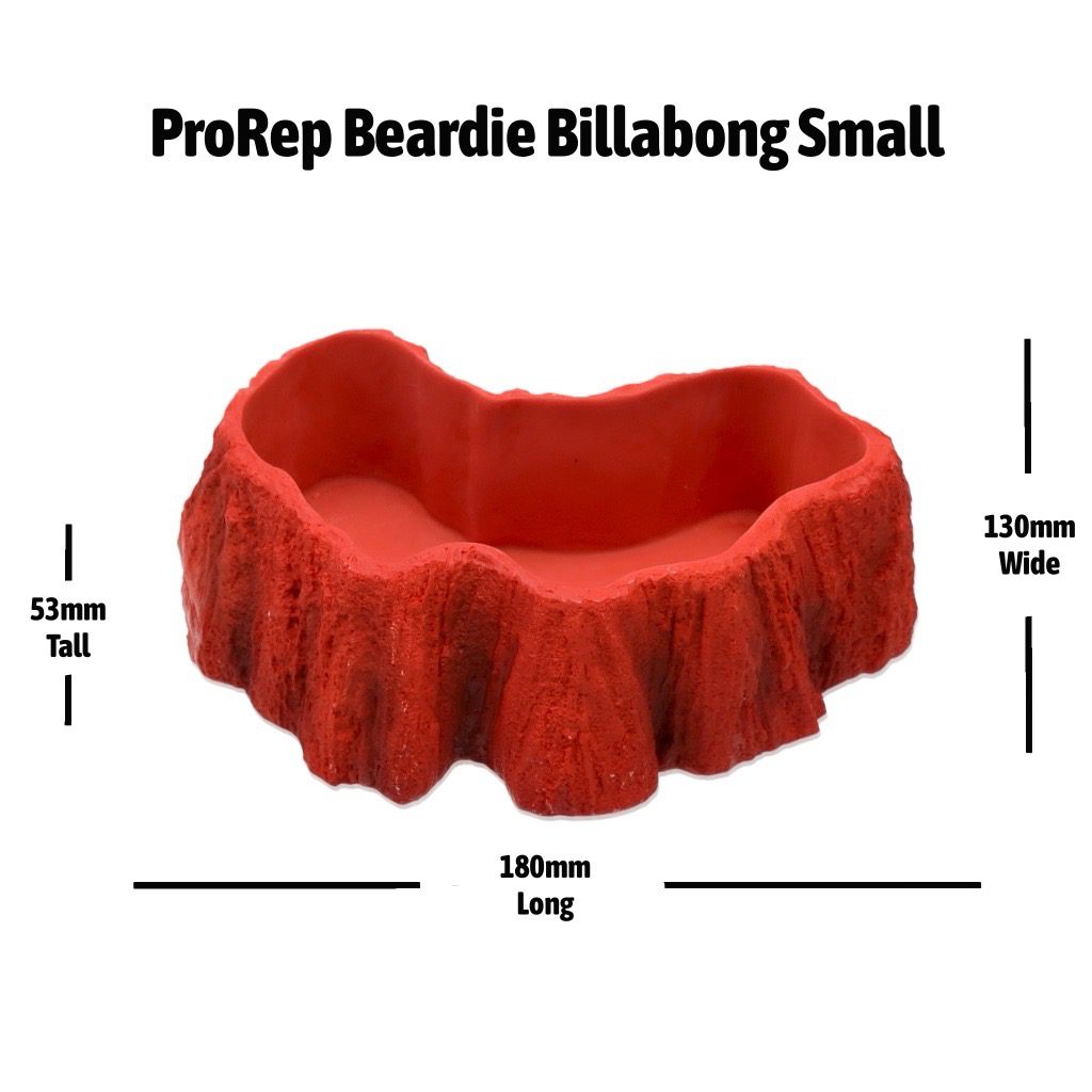 ProRep Beardie Billabong Pool Small 180x130x53mm