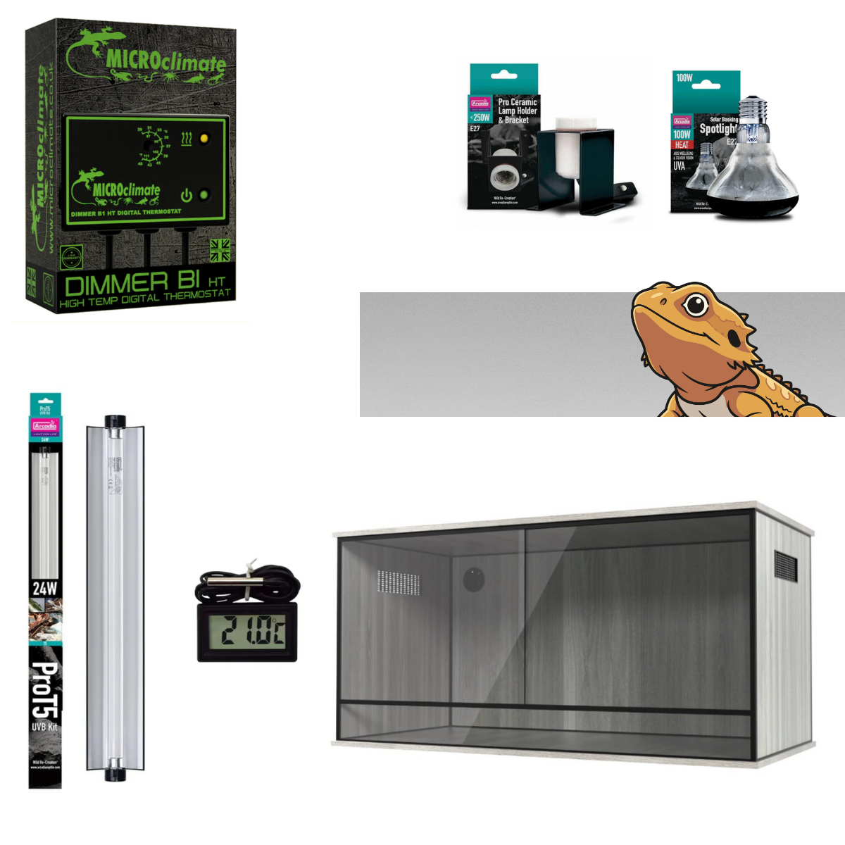 Bearded Dragon Starter Kit (Silver)