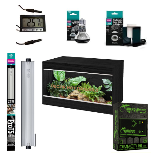 Bearded Dragon Juvenile Starter Kit (Bronze)