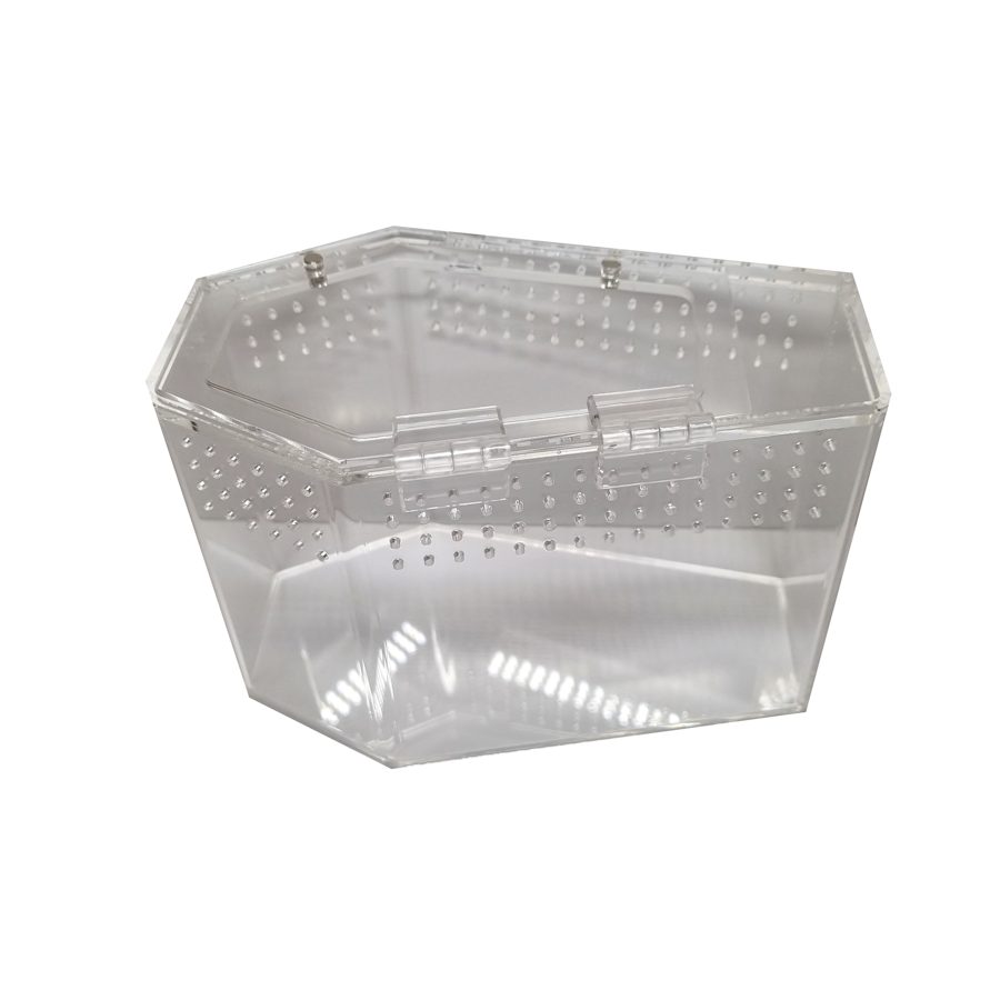 HerpXotics Acrylic Enclosure (12) Coffin