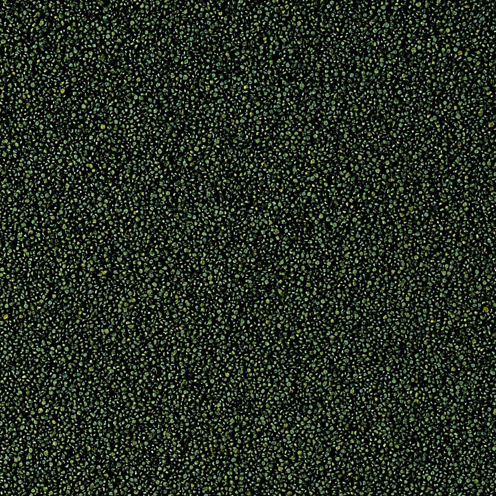 Tropical Super Spirulina Forte Mini Granulat 140g product information