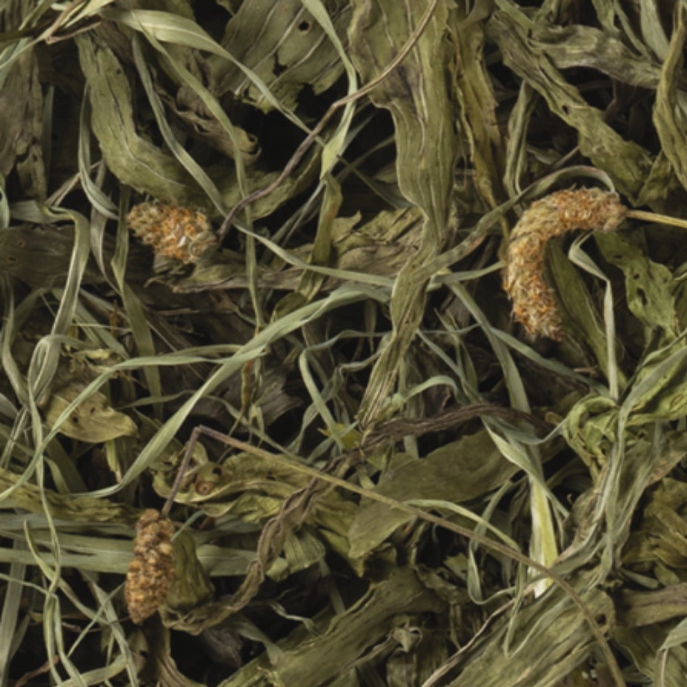 TropiFit Naturals Dried Forage