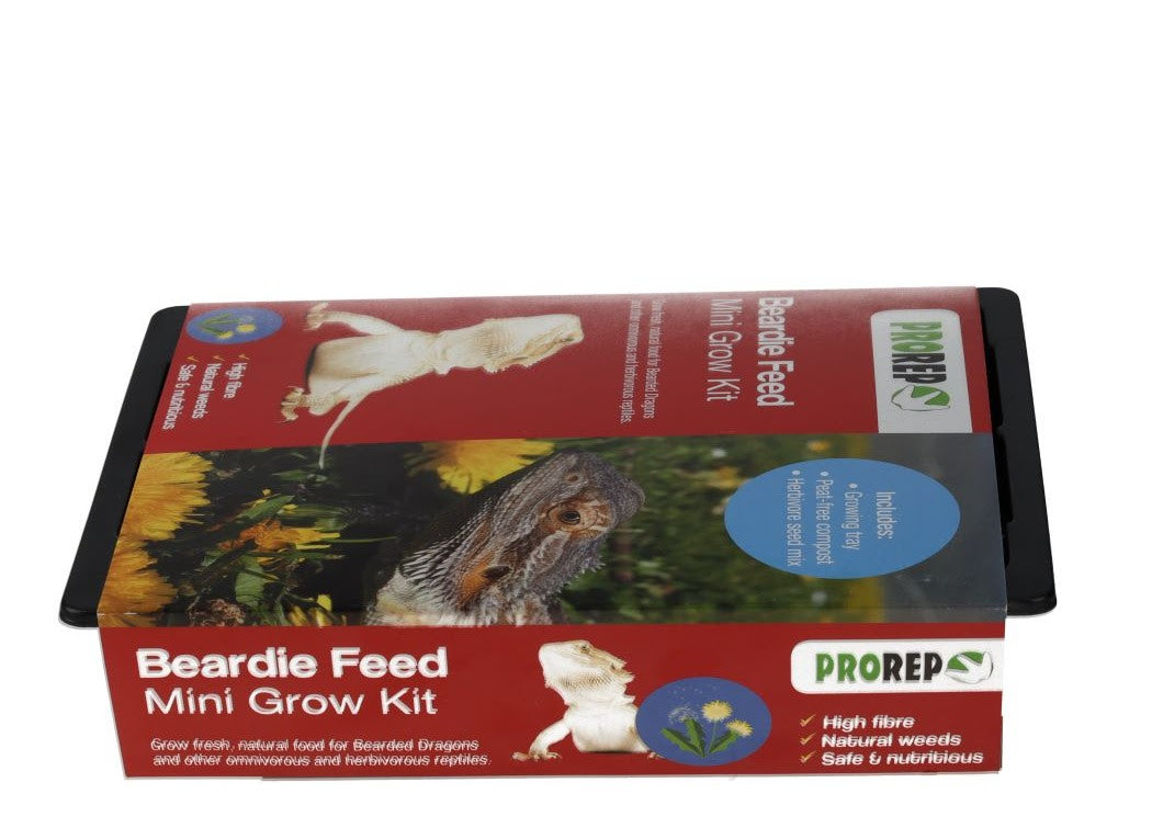 ProRep Beardie Feed - Grow Your Own Mini Kit