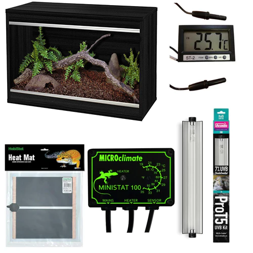 Leopard gecko setup shop kit