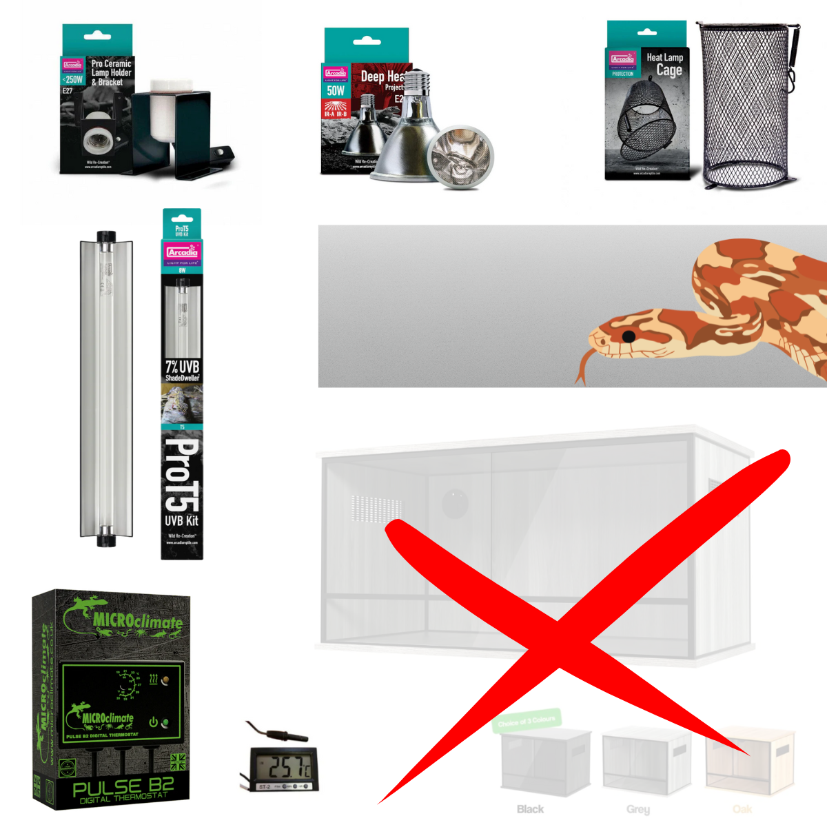 Corn Snake Starter Kit (Silver) 90x45x45cm