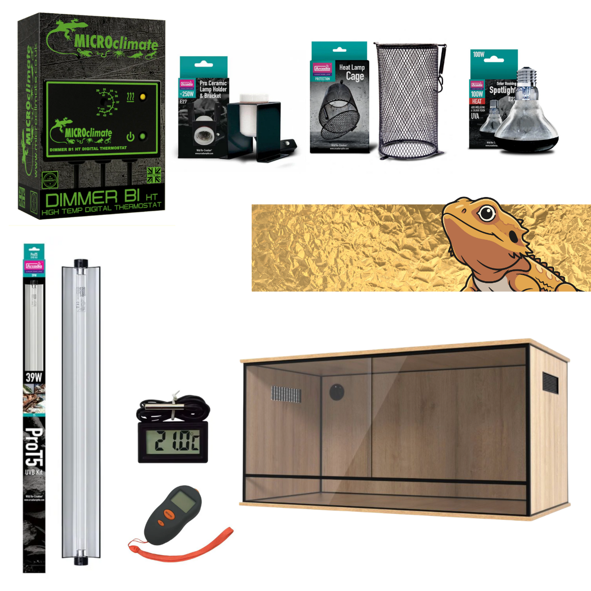 Bearded Dragon Starter Kit (Gold)