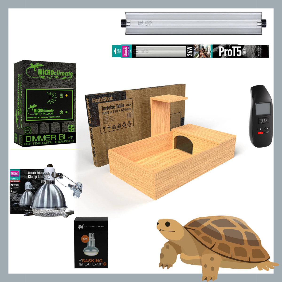 Tortoise Table Starter Kit - Platinum