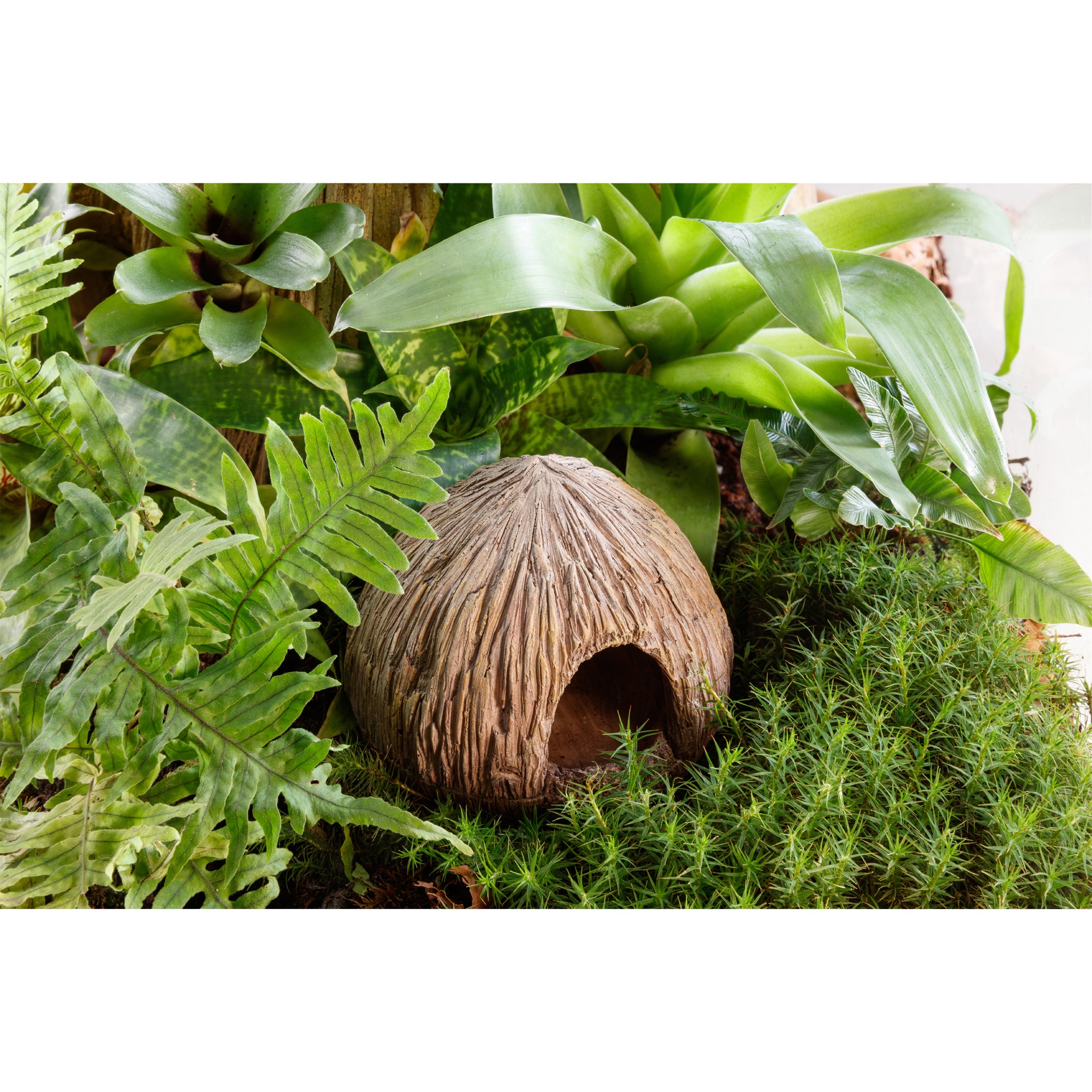 Exo Terra Tiki Coconut Cave