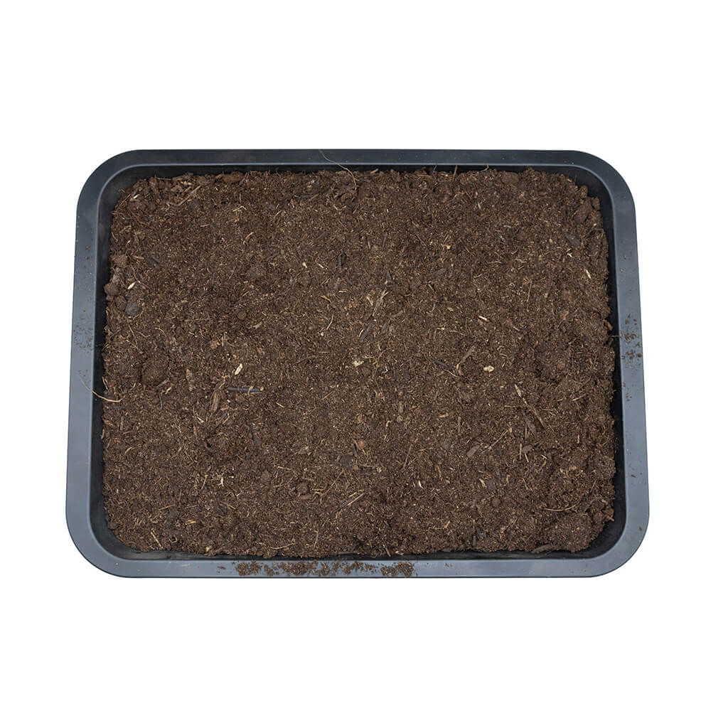 Arcadia EarthMix Bioactive Substrate (Tropical, Arid & Prairie) – Reptile Soil