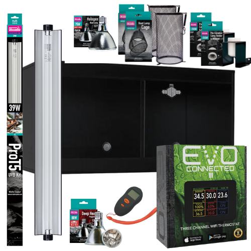 Bearded Dragon Starter Kit (Platinum Plus)