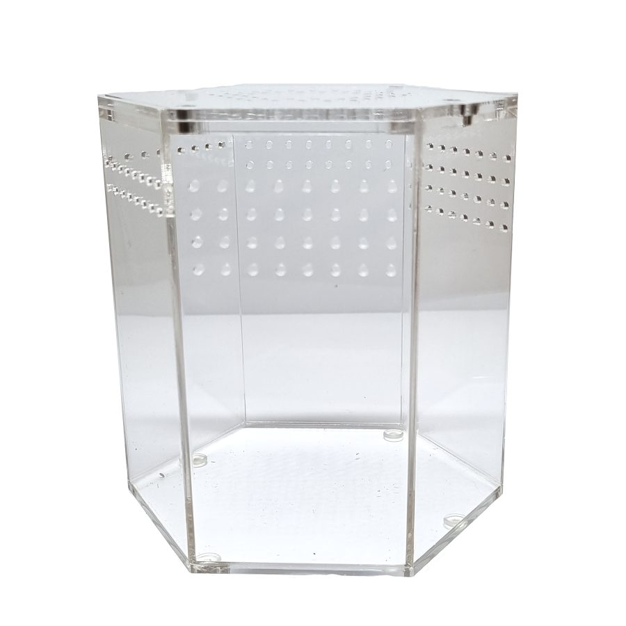 HerpXotics Acrylic Enclosure (1) Hexagon