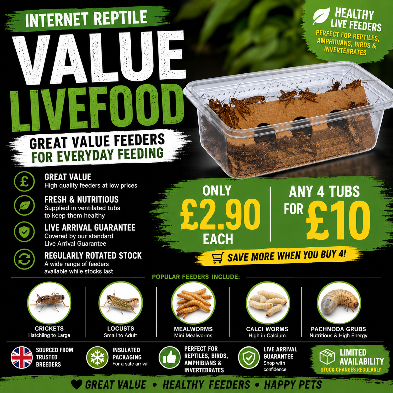 Internet Reptile Value Livefood
