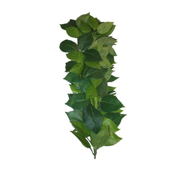 Komodo Ficus Silk Vine
