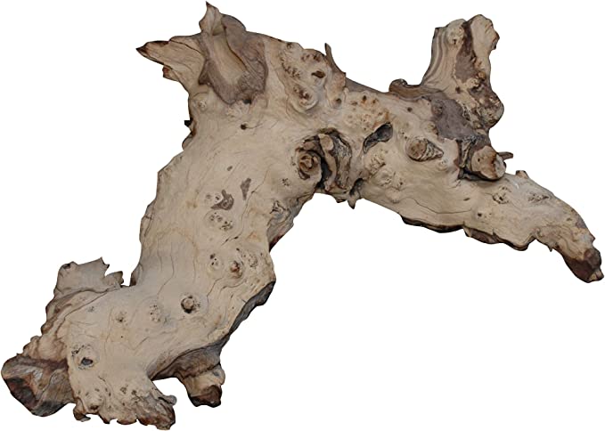 Lucky Reptile Mopani Wood Small, MW-S