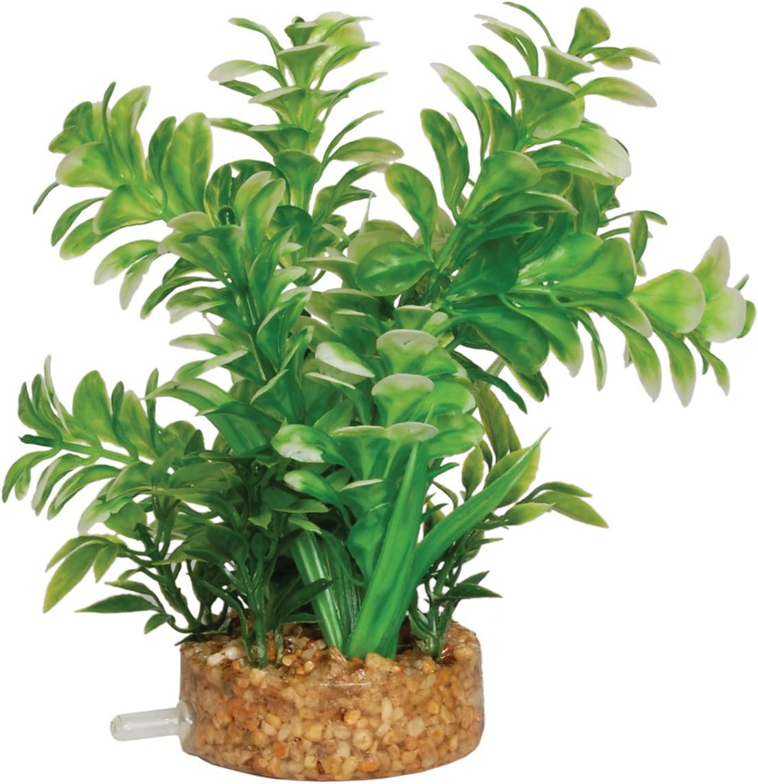 Aqua Spectra Plant with Airstone Base