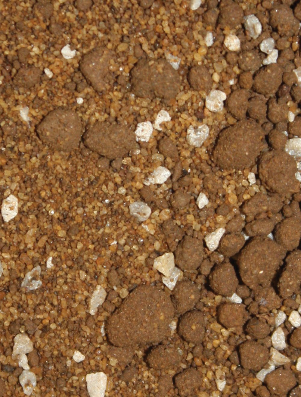 Komodo Tortoise Eco Terrain 10L